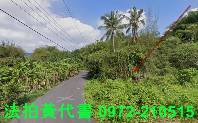 內門建地法拍-3