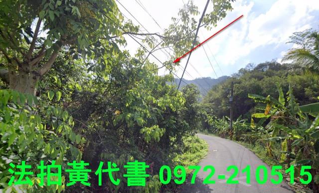內門建地法拍-4