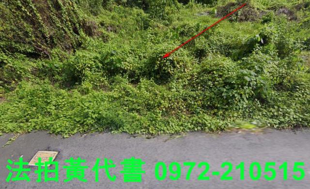 內門建地法拍-8