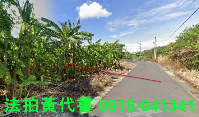嘉義義竹建地拍賣-11