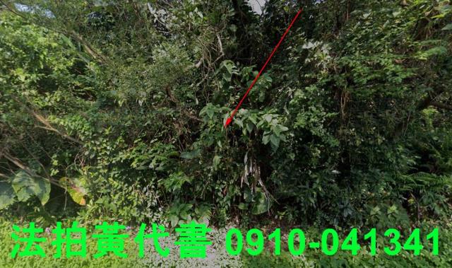 新北石門法拍農地-0