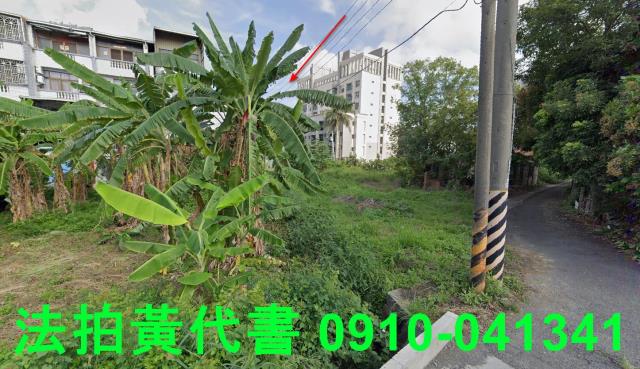 善化法拍建地-13