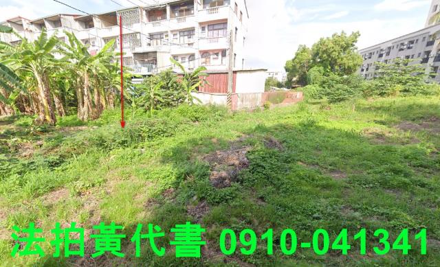 善化法拍建地-0