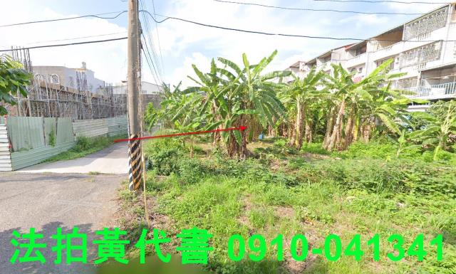 善化法拍建地-3
