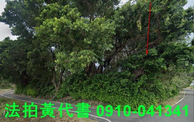 東石法拍建地-12