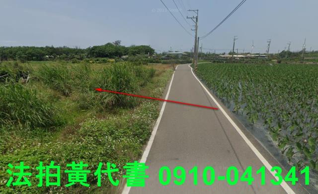 大安區法拍農地-11