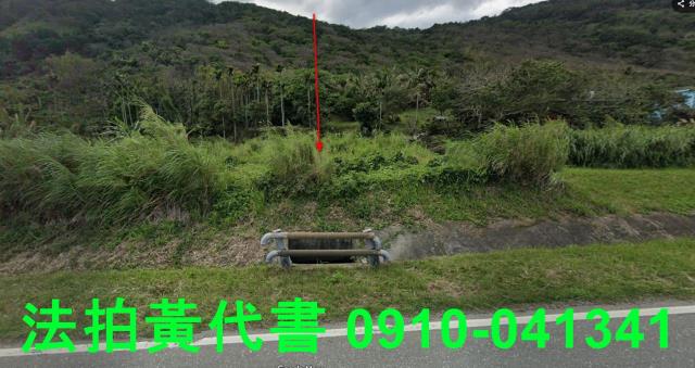 豐濱農地拍賣-0