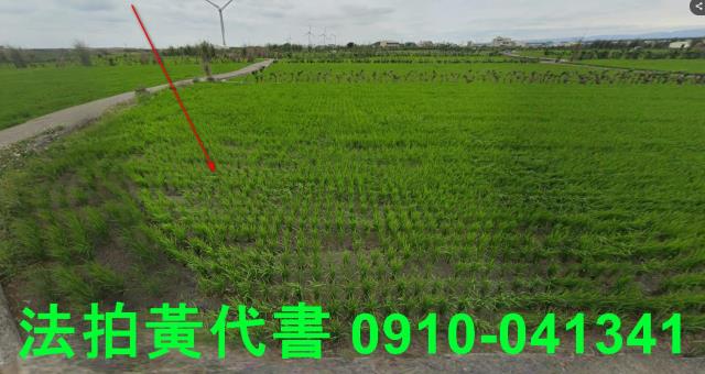 大安區農地拍賣-1
