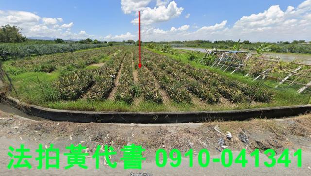 斗六拍賣農地-0