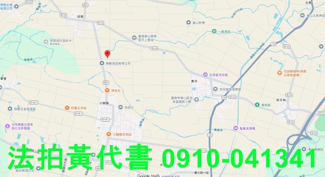 台南法拍農地-6
