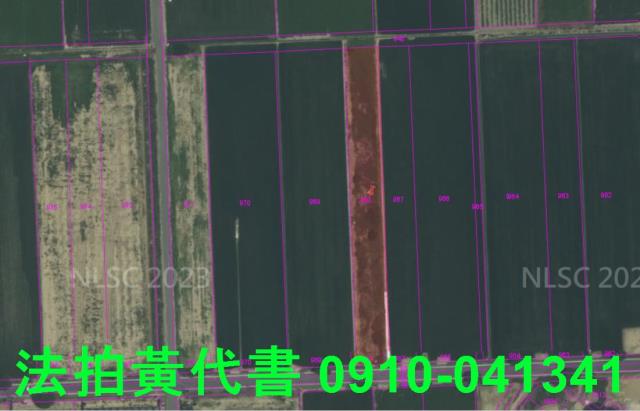 嘉義法拍農地-4