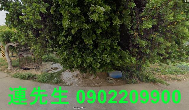 南投名間法拍建地-2
