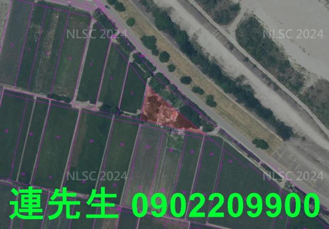 台中大甲法拍農地-4