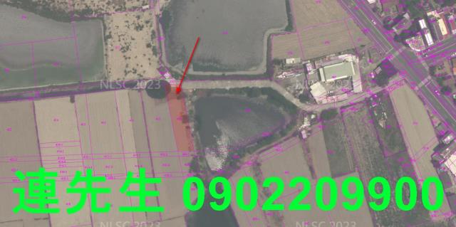 將軍法拍農地-4